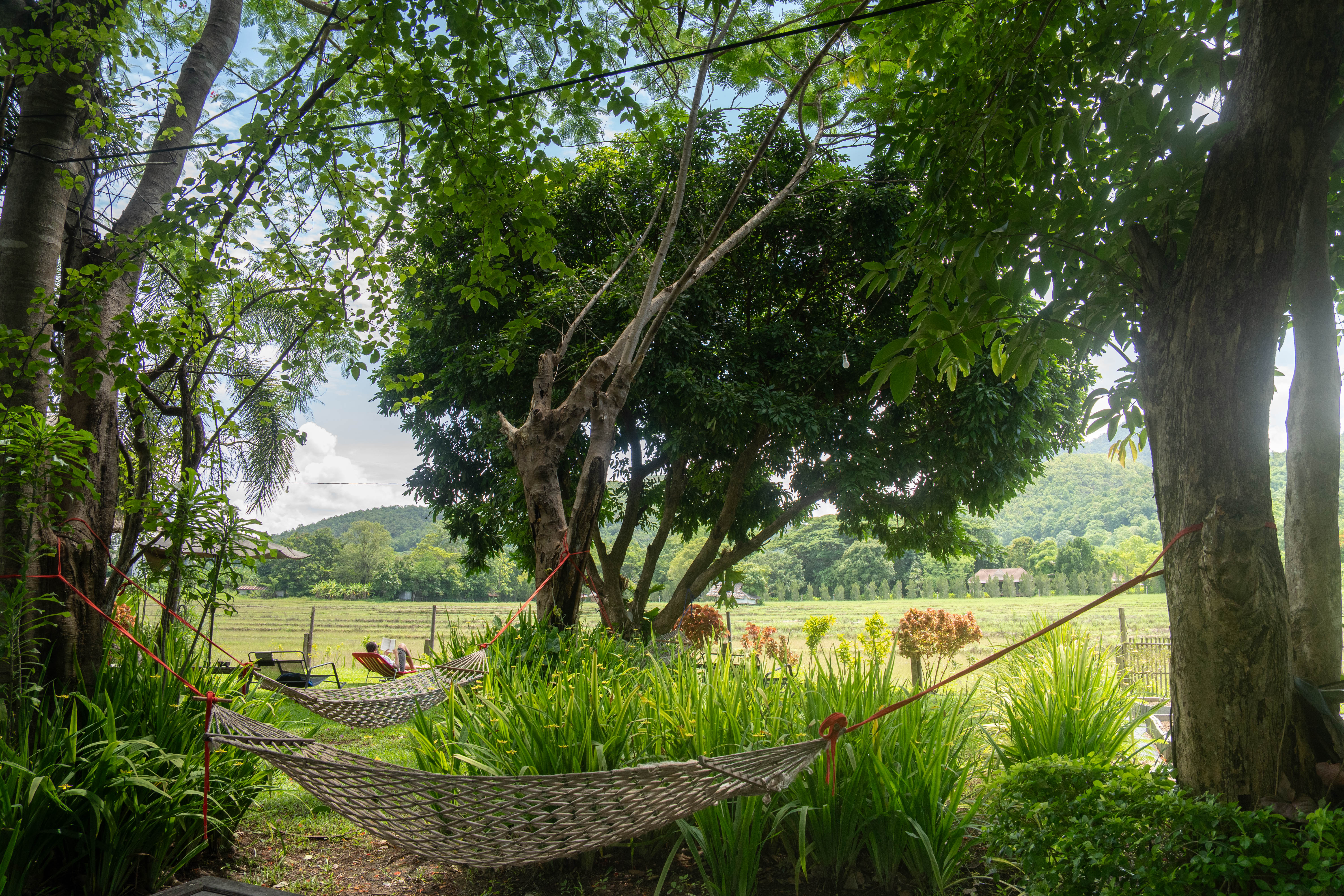 Butterfly Resort Hostel Pai